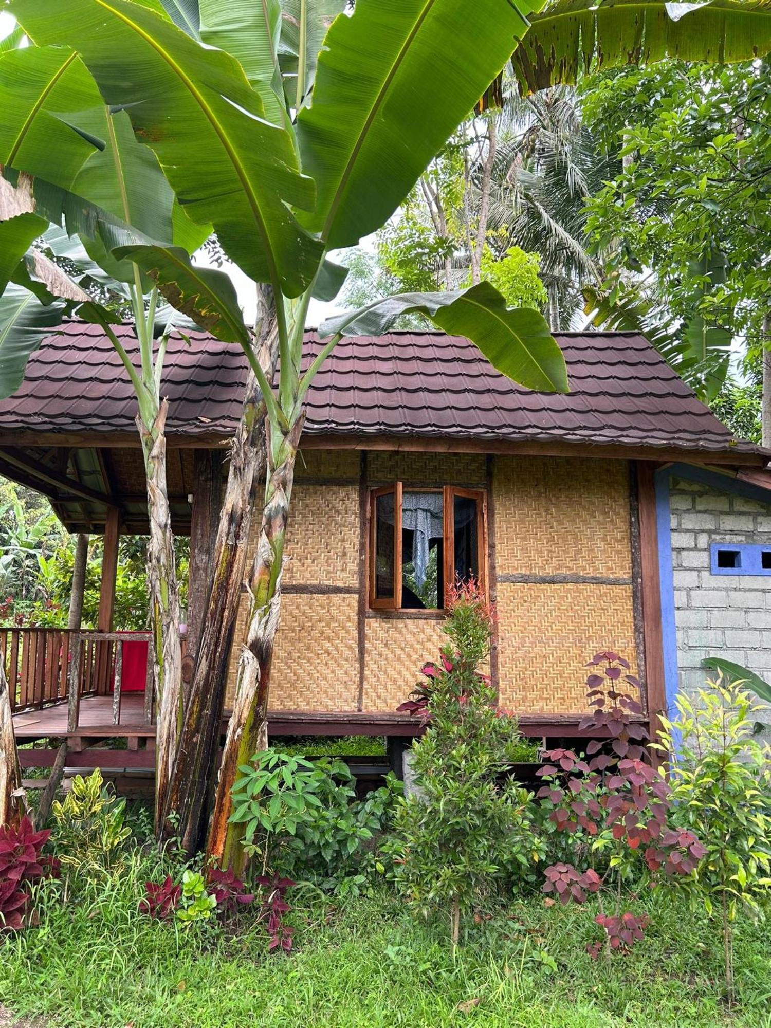Banana Bungalows Tetebatu Room photo